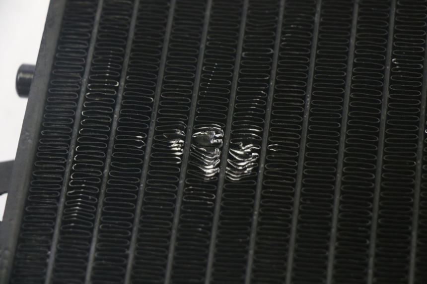 photo de KÜHLER  PIAGGIO MP3 RL 250 (2006 - 2010) - Detailansicht des Bauteils