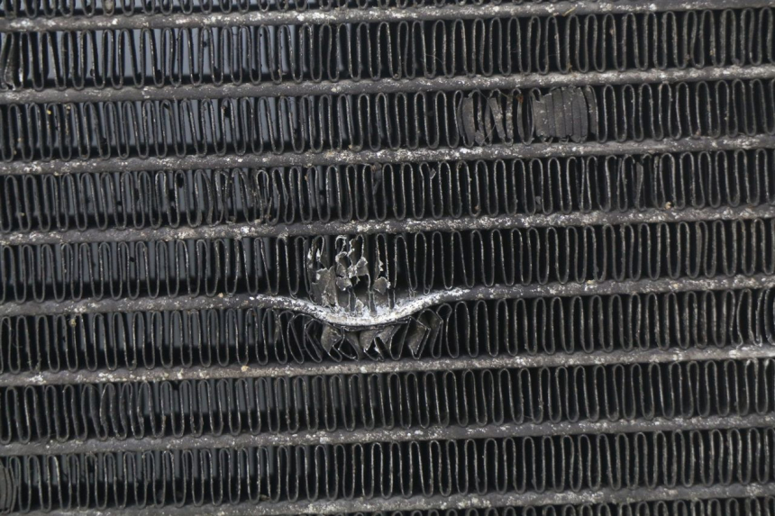 photo de KÜHLER GILERA NEXUS 125 (2009 - 2013)