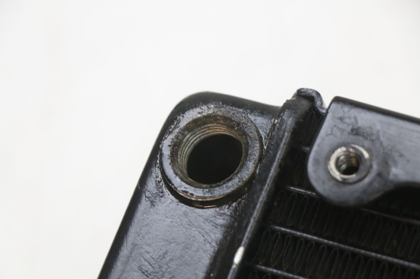 photo de KÜHLER  REGAL RAPTOR SPYDER 125 (2010 - 2018) - Detailansicht des Bauteils