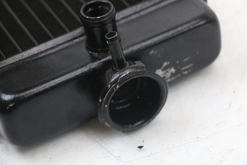 photo de KÜHLER  REGAL RAPTOR SPYDER 125 (2010 - 2018) - Gesamtansicht des Produkts