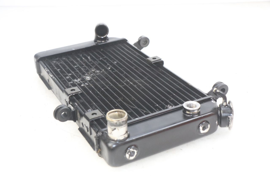 photo de KÜHLER SUZUKI SV N 650 (1999 - 2002)