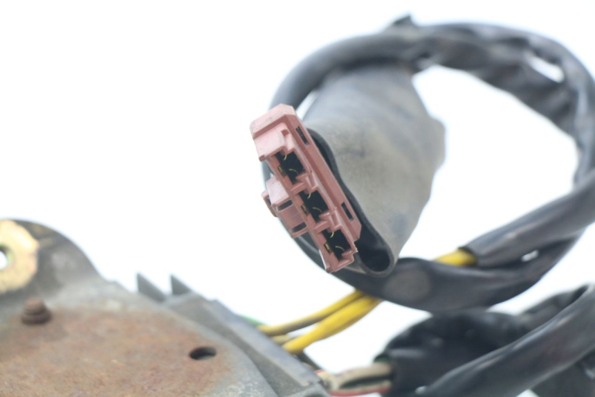 photo de REGLER LICHTMASCHINE PIAGGIO BEVERLY 500 (2003 - 2007) - Alternative Perspektive