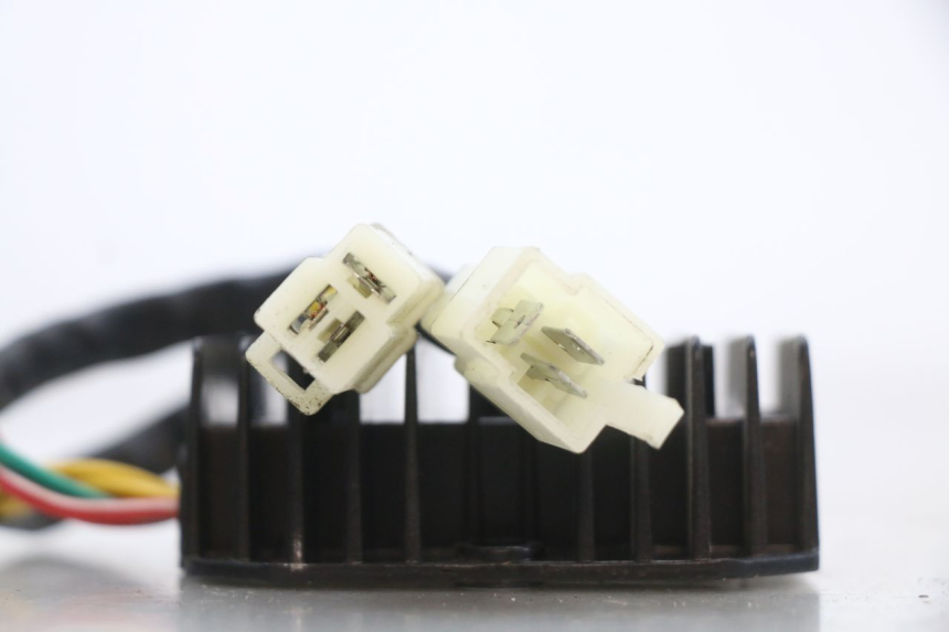 photo de REGLER LICHTMASCHINE TNT MOTOR BOSTON 4T 50 (2018 - 2025)