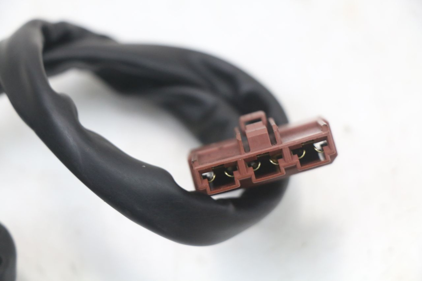 photo de REGLER LICHTMASCHINE PEUGEOT GEOPOLIS RS 125 (2007 - 2009)
