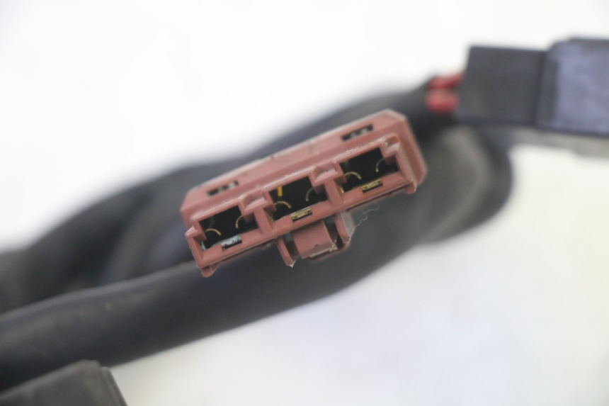 photo de LICHTMASCHINENREGLER PIAGGIO MP3 RL 250 (2007 - 2010)