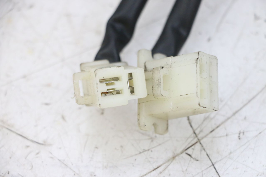 photo de REGLER LICHTMASCHINE NECO TEMPO 4T 50 (2022 - 2026) - Gesamtansicht des Produkts