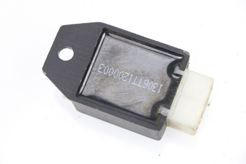 photo de REGLER LICHTMASCHINE TNT MOTOR ROMA 10' 2T 50 (2011 - 2018)