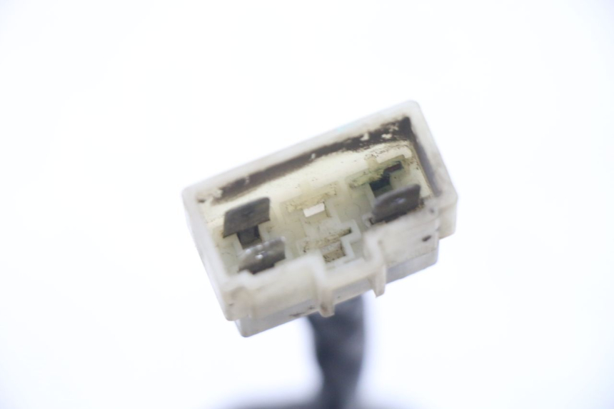 photo de REGLER LICHTMASCHINE PEUGEOT TWEET PRO CARGO 50 (2018 - 2020)