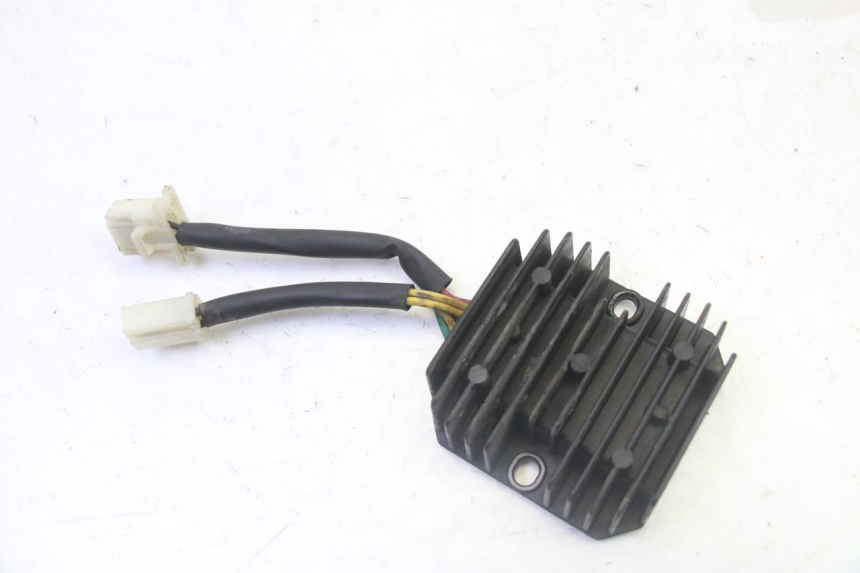 photo de REGLER LICHTMASCHINE PEUGEOT TWEET PRO CARGO 50 (2018 - 2020)