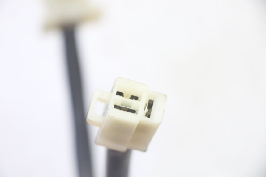 photo de REGLER LICHTMASCHINE PEUGEOT TWEET PRO CARGO 50 (2018 - 2020)