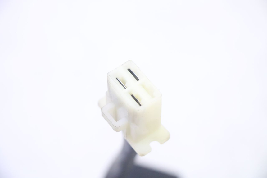 photo de REGLER LICHTMASCHINE PEUGEOT TWEET PRO EFI 4T 50 (2021 - 2022)