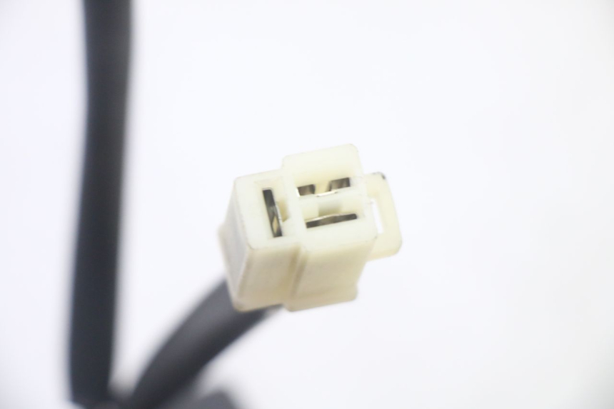 photo de REGLER LICHTMASCHINE PEUGEOT TWEET PRO EFI 4T 50 (2021 - 2022)