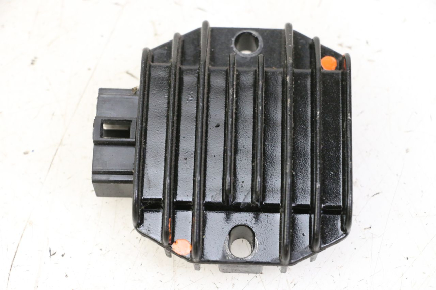 photo de REGLER LICHTMASCHINE YAMAHA XJN DIVERSION 600 (2000 - 2003)