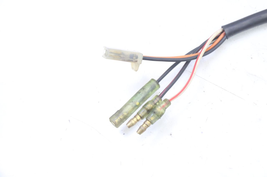 photo de ELECTRISCHE RELAIS MASH BIBOP 2T 50 (2013 - 2018)