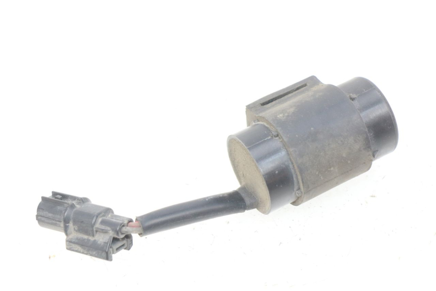 photo de ELEKTRISCHE RELAIS PEUGEOT TWEET 4T 50 (2018 - 2020)