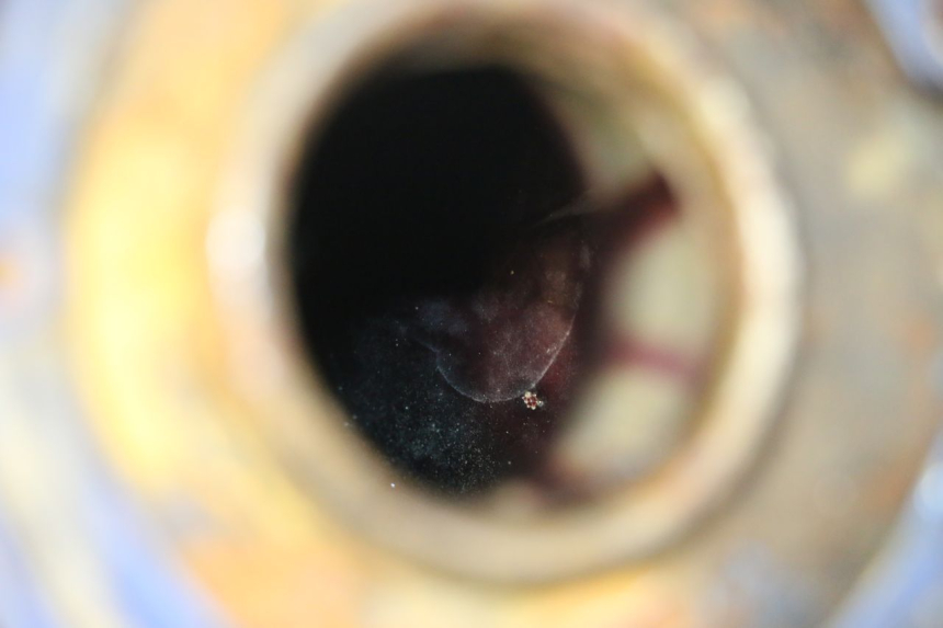 photo de KRAFTSTOFFTANK KAWASAKI GPX R WARBIRD 600 (1988 - 1993) - Fokus auf die Struktur