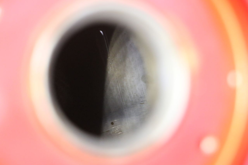 photo de KRAFTSTOFFTANK SUZUKI GSF N BANDIT 600 (1996 - 1999) - Geprüftes Gebrauchtteil