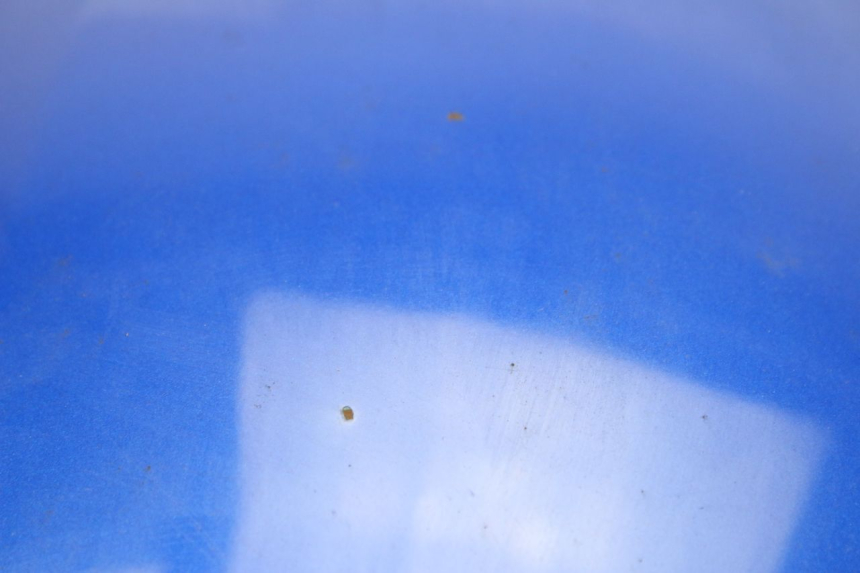 photo de KRAFTSTOFFTANK SUZUKI GSF S BANDIT 600 (2000 - 2004)