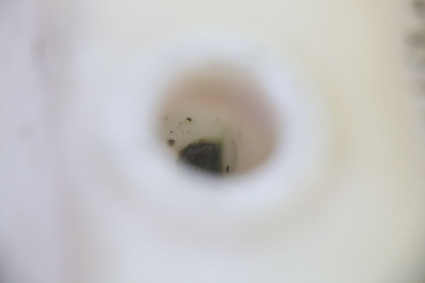 photo de ÖLTANK MBK BOOSTER SPIRIT 50 (2004 - 2017) - Zoom auf Gebrauchszustand