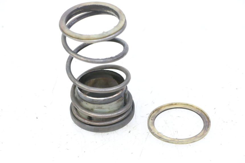 photo de GEGENDRUCKFEDER HONDA FORZA ABS 300 (2013 - 2019)