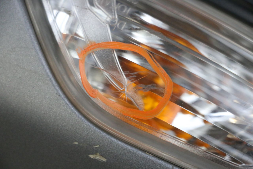 photo de SPIEGEL RECHTS SUZUKI BURGMAN 650 (2013 - 2020)