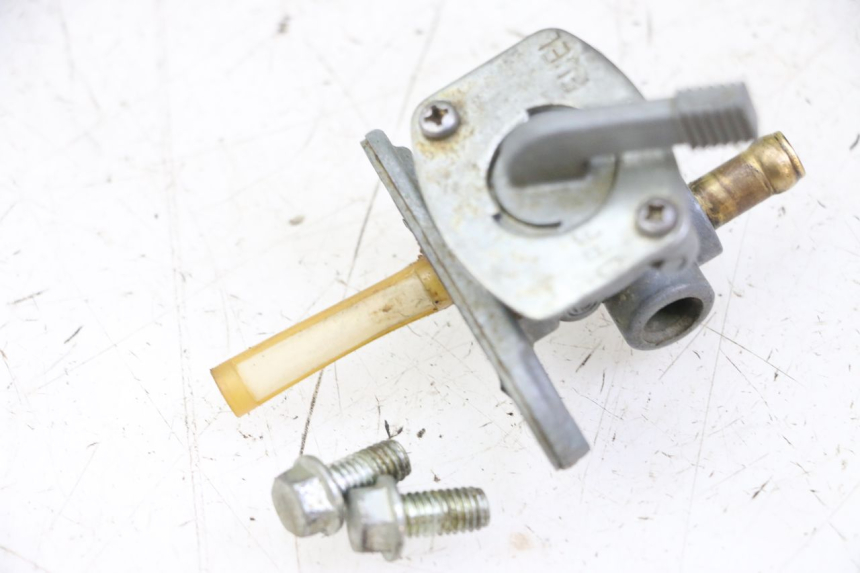 photo de BENZINHAHN KAWASAKI KX 65 (2000 - 2019)