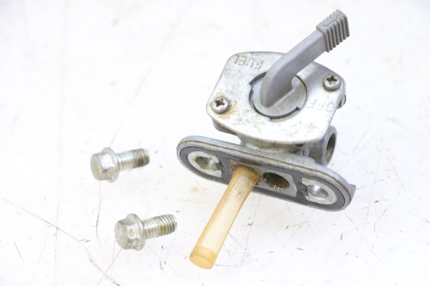 photo de BENZINHAHN KAWASAKI KX 65 (2000 - 2019)