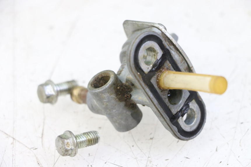 photo de BENZINHAHN KAWASAKI KX 65 (2000 - 2019)