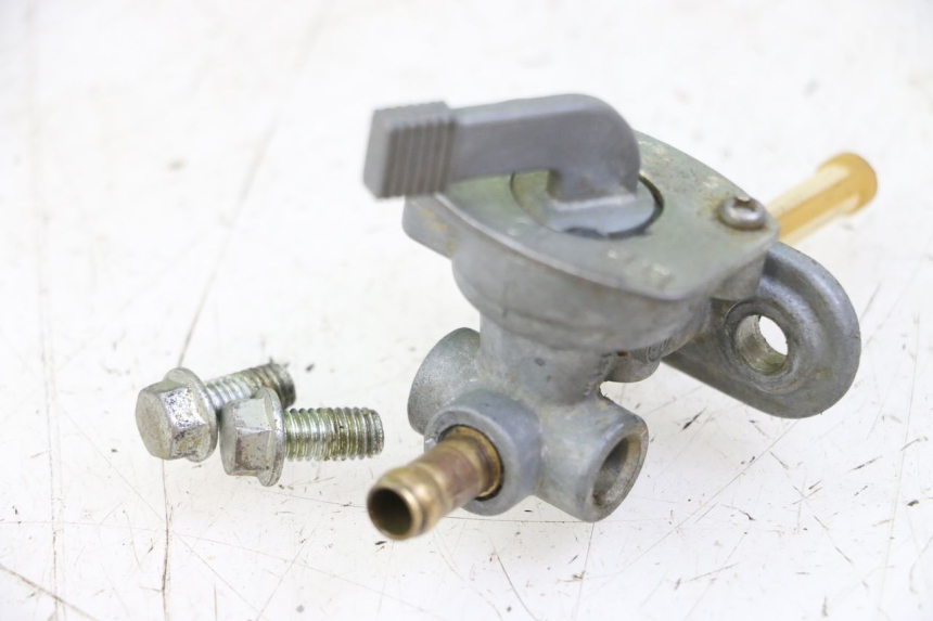 photo de BENZINHAHN KAWASAKI KX 65 (2000 - 2019)