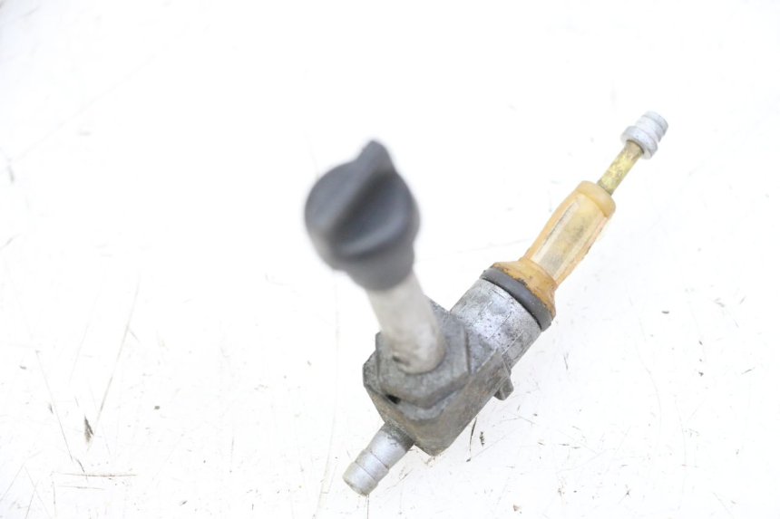 photo de TANKHAHNZUG PEUGEOT LUDIX 50 (2008 - 2017)