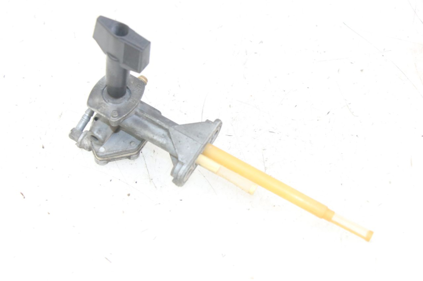 photo de BENZINHAHN YAMAHA XJN DIVERSION 600 (2000 - 2003)