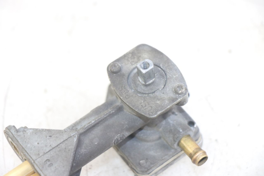 photo de BENZINHAHN YAMAHA XJN DIVERSION 600 (2000 - 2003)