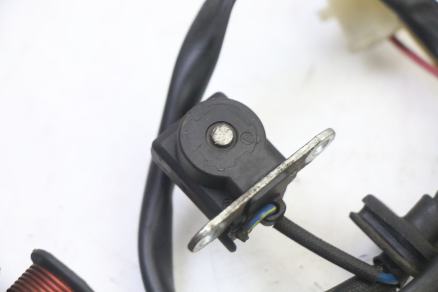 photo de LICHTMASCHINE ORCAL CAVARO 4T 50 (2019 - 2023)