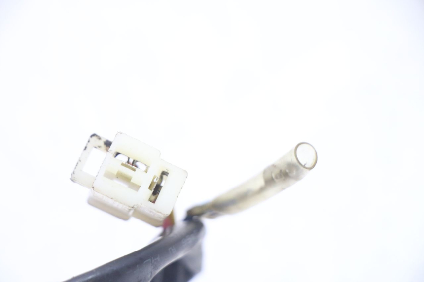 photo de LICHTMASCHINE ORCAL CAVARO 4T 50 (2019 - 2023)