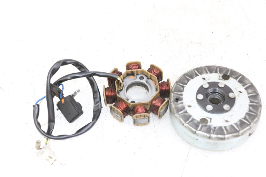 photo de LICHTMASCHINE LONGJIA DIGITA 4T 50 (2019 - 2022)