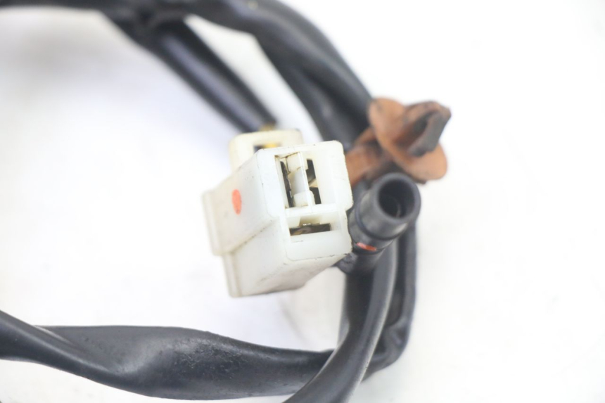 photo de LICHTMASCHINE PEUGEOT ELYSTAR 50 (2002 - 2014)