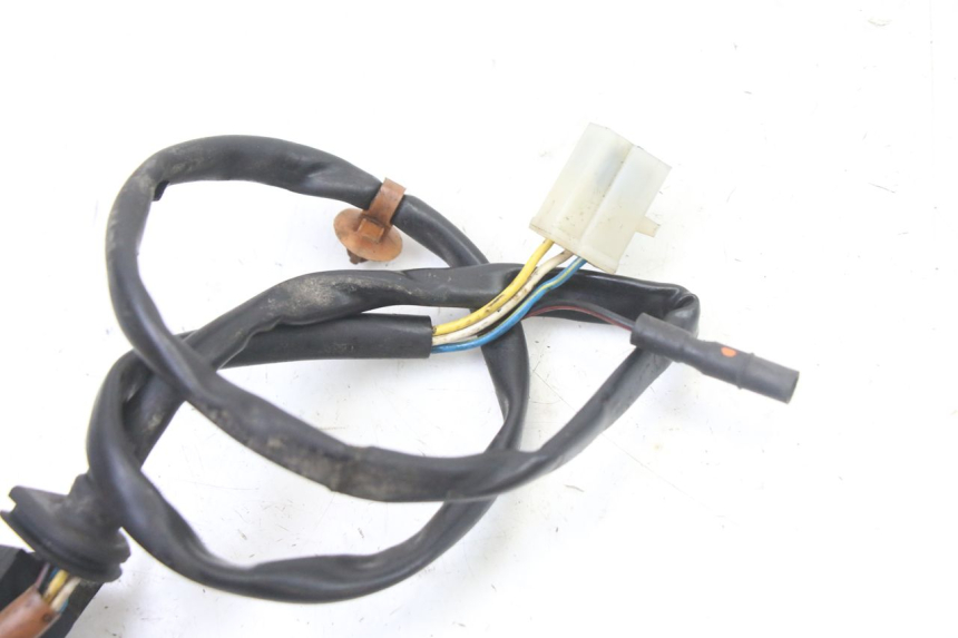 photo de LICHTMASCHINE PEUGEOT ELYSTAR 50 (2002 - 2014)