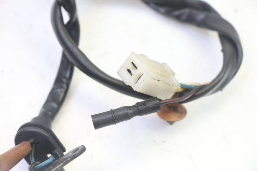 photo de LICHTMASCHINE PEUGEOT ELYSTAR 50 (2002 - 2014)