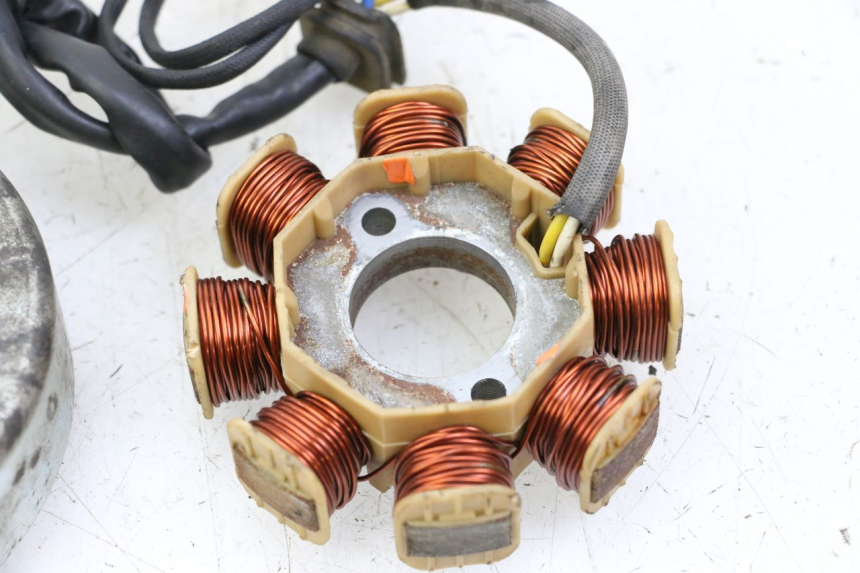 photo de ROTOR STATOR JM MOTORS EVOLIS 4T 50 (2018 - 2022)