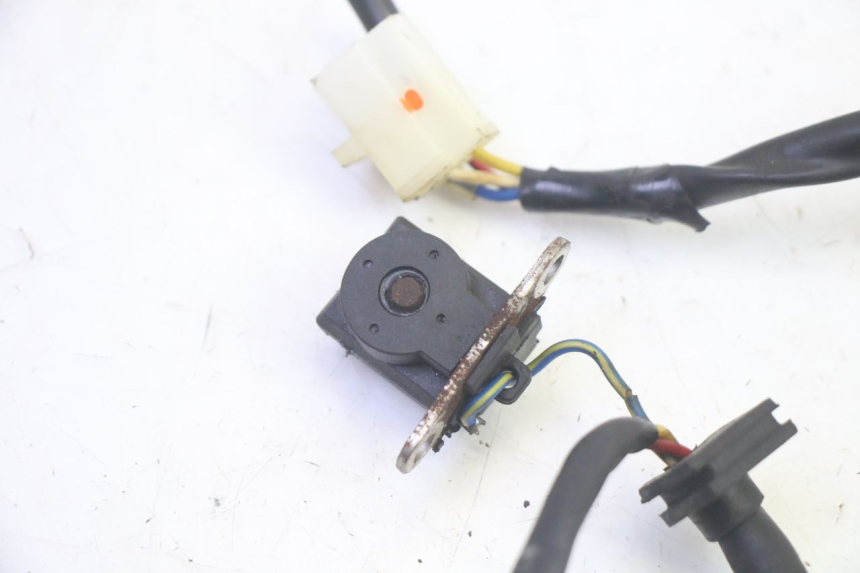 photo de LICHTMASCHINE EUROCKA GTR 50 (2018 - 2021) - Details der Befestigungspunkte