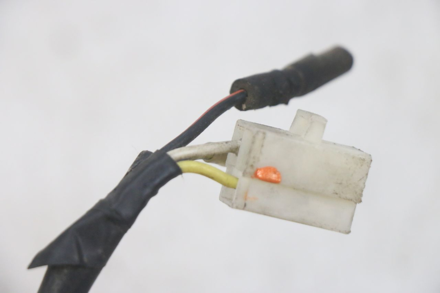 photo de LICHTMASCHINE EUROCKA GTR 50 (2007 - 2017) - Technische Nahaufnahme