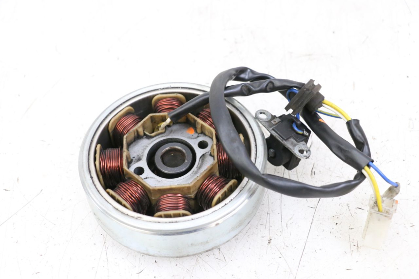 photo de LICHTMASCHINE LONGJIA DIGITA 4T 50 (2019 - 2022)