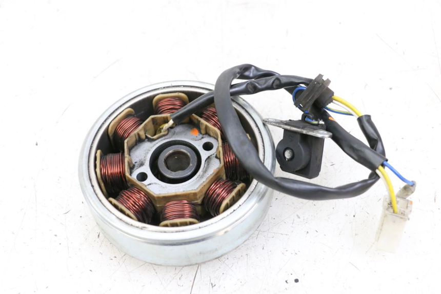 photo de LICHTMASCHINE LONGJIA DIGITA 4T 50 (2019 - 2022)