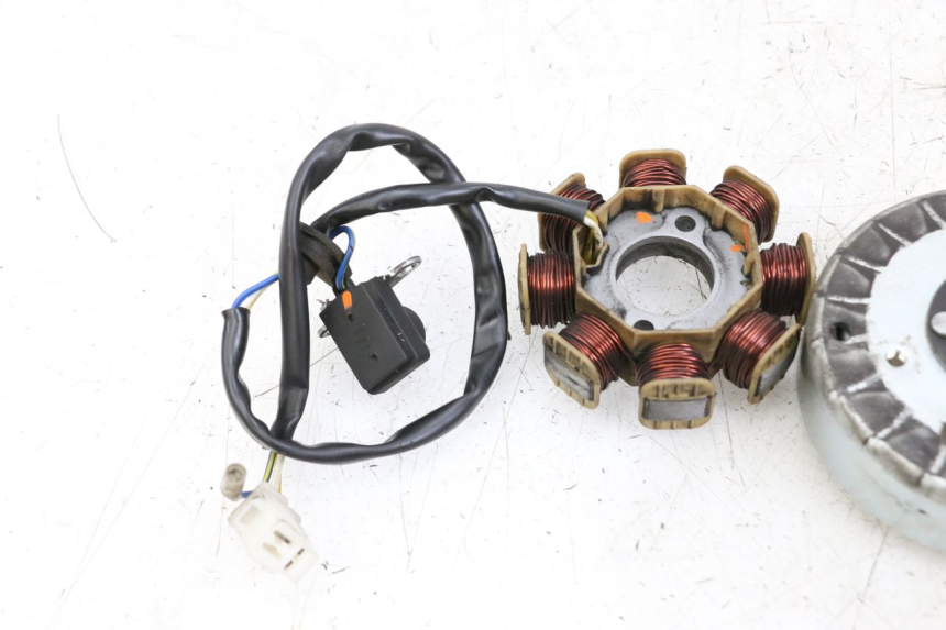 photo de LICHTMASCHINE LONGJIA DIGITA 4T 50 (2019 - 2022)
