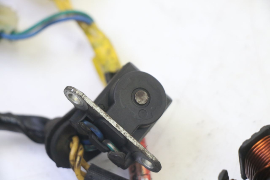 photo de LICHTMASCHINE KYMCO LIKE 4T 50 (2019 - 2025)