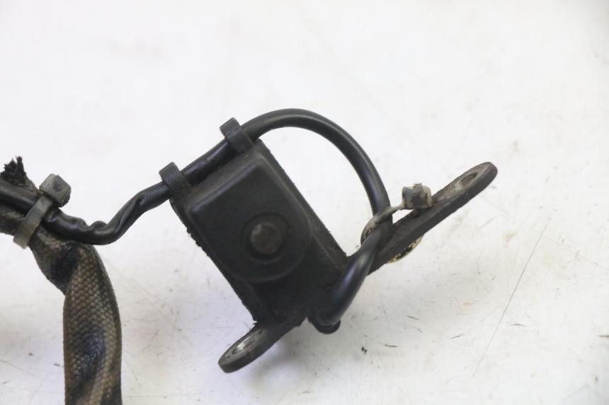 photo de LICHTMASCHINE PIAGGIO NEW TYPHOON 50 (2010 - 2017)