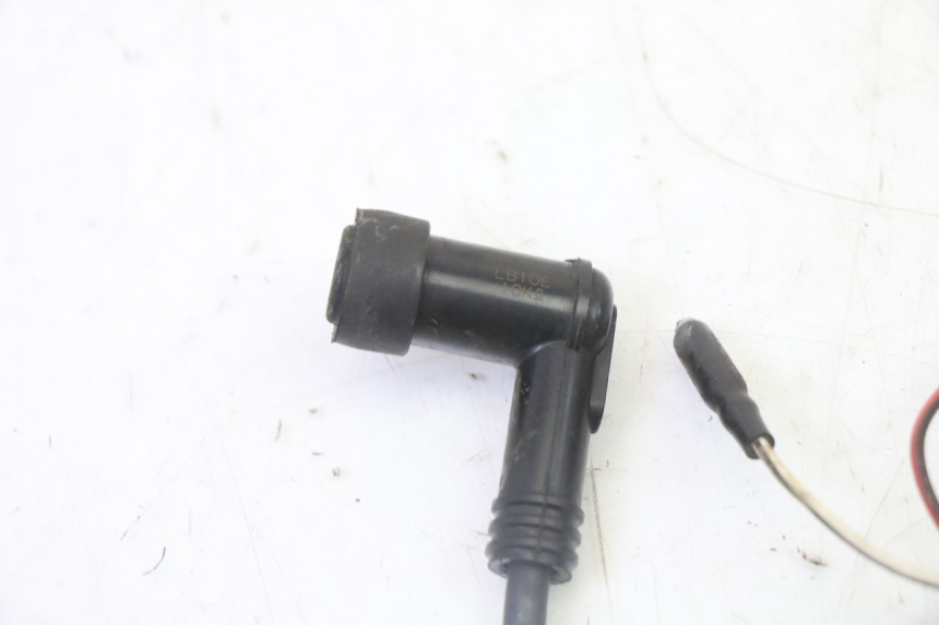 photo de LICHTMASCHINE DERBI SENDA SM DRD 50 (2008 - 2013)
