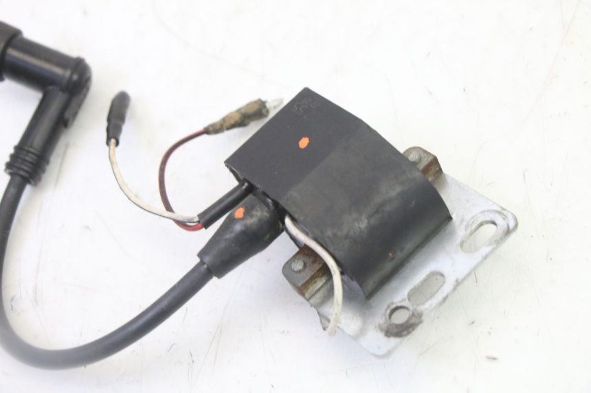 photo de LICHTMASCHINE DERBI SENDA SM DRD 50 (2008 - 2013)
