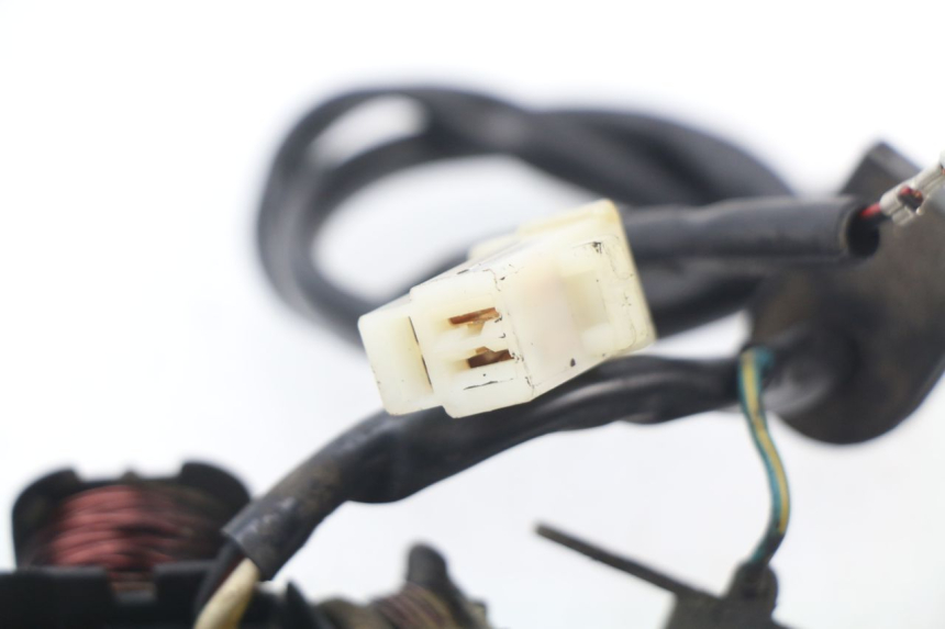 photo de LICHTMASCHINE PEUGEOT SPEEDFIGHT 3 AIR 50 (2009 - 2015)