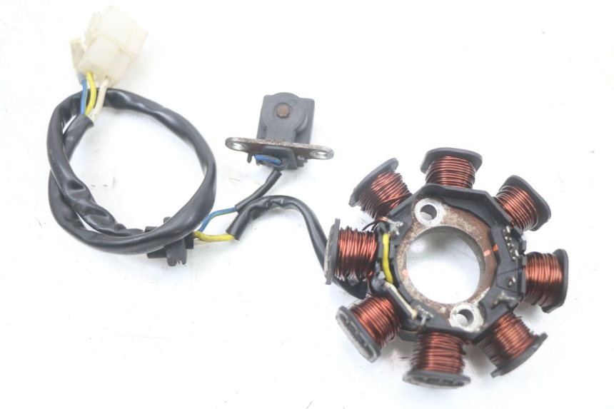 photo de ROTOR STATOR SYM FIDDLE 2 50 (2008 - 2013)